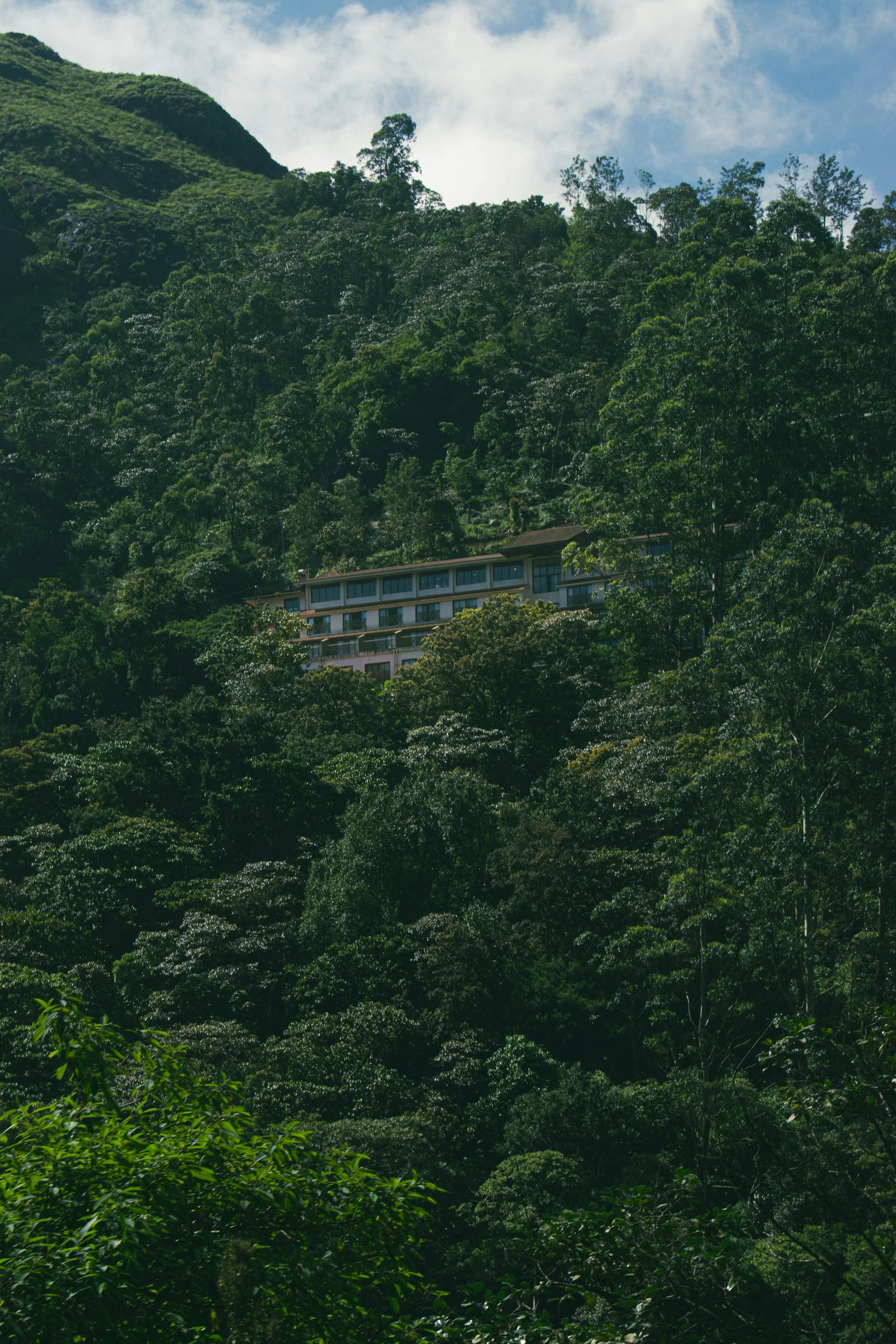 Hill Station Escapes